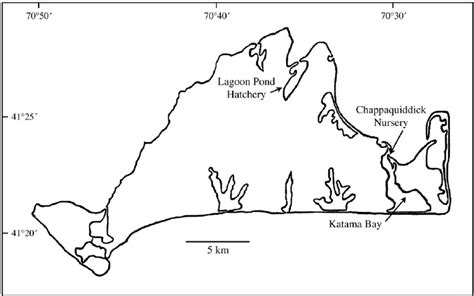 Map Of Martha S Vineyard Indicating The Location Of The Non Affected