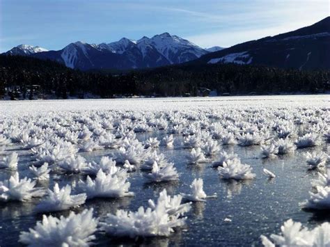 Ice Flowers On Lake Baikal Natural Phenomena Scenery Phenomena