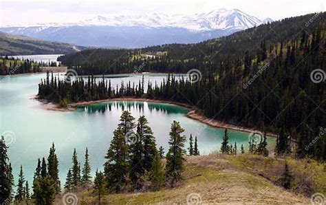 Emerald Lake Yukon Canada Stock Photo Image Of Alpine 12737654