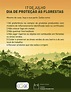 17 de julho: Dia de Proteção às Florestas | Internet – COGIC