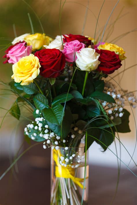 Bouquet Of Colorful Roses Free Stock Photo Public Domain Pictures