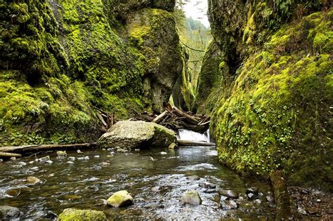 The Oneonta Gorge Trail In Oregon Is Unexpectedly Magical