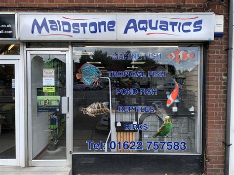 Maidstone Aquatics Maidstone Nextdoor
