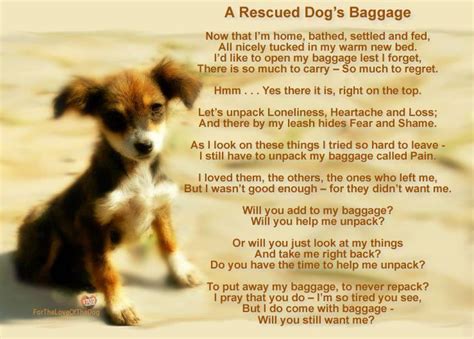 A Rescued Dogs Baggage Rescue Dogs Dog Quotes Dogs