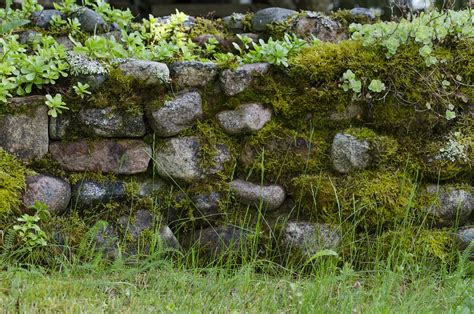 Stone Moss Garden · Free Photo On Pixabay