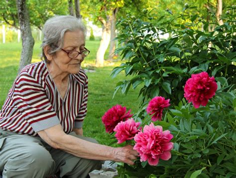 Discovering The Joys Of Gardening For Those Living With Dementia