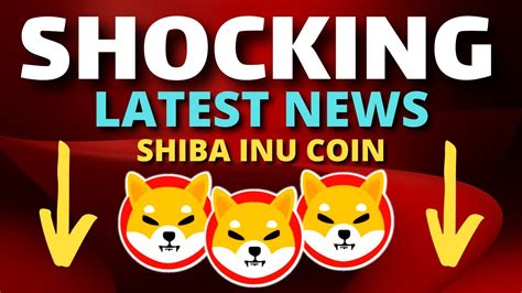 Shiba Inu Coin News Today All Shib Holder Need To See This Now