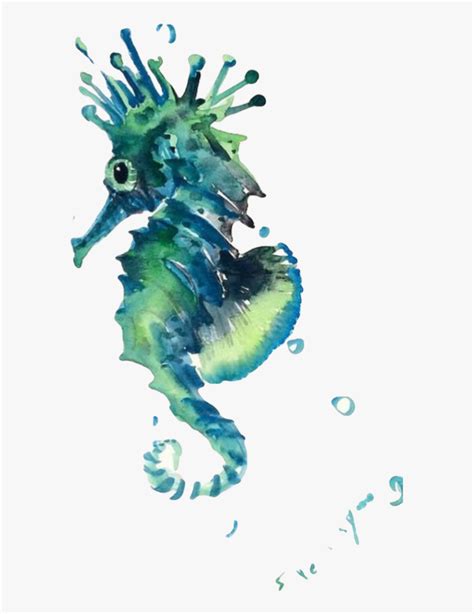 Transparent Blue Seahorse Clipart Sea Creature Clipart