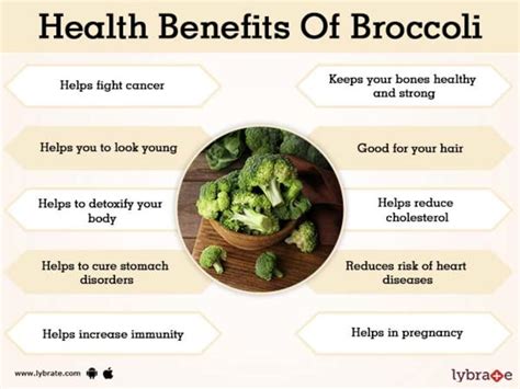 Why Broccoli Is So Important For Health Learn With Pritish
