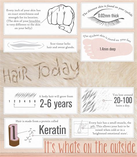 Science Junkie — 50 Incredible Facts About Skin Did You Know That