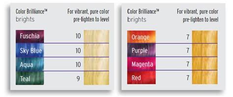 24 colors, 24 unprecedented ways to make our furniture happy, 24 degrees of intensity, 24 shades of lightness, 24 new ideas of beauty and subtlety. Ion Color Brilliance Brights - Black Hair Media Forum ...