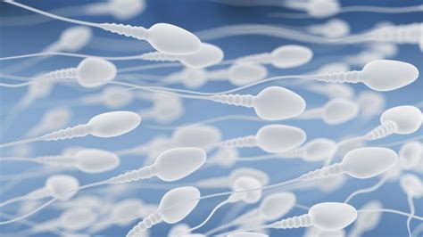 Male Infertility Treatment ‘insensitive Bbc News