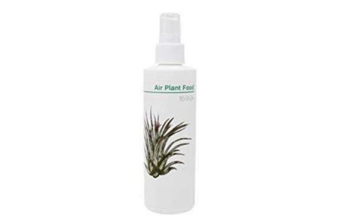 This is what air plants (otherwise known as tillandsias) need in order to thrive. AirPlant Fertilizer 500ml | Etsy#500ml #airplant #etsy # ...