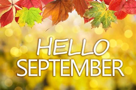 Text Hello September And Autumn Leaves On Background Bokeh Effect