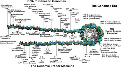 Genome Sequencing In The Clinic The Past Present And Future Of