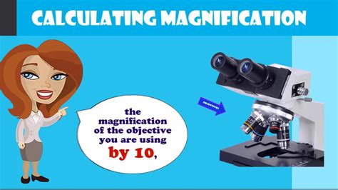 48 How To Calculate The Magnification Of A Microscope Nersyaminarsih