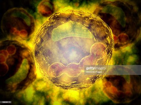 Microscopic View Of Human Cell High Res Vector Graphic Getty Images