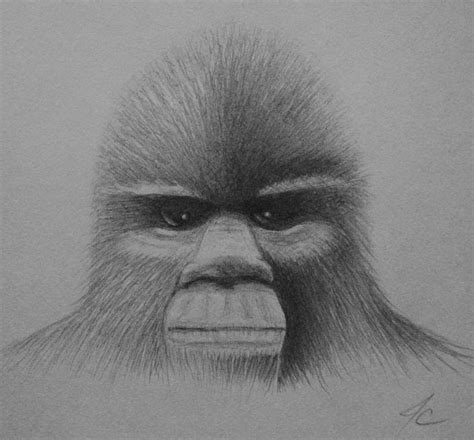 Sketching Sasquatch Drawing By Jimmy Carender Fine Art America