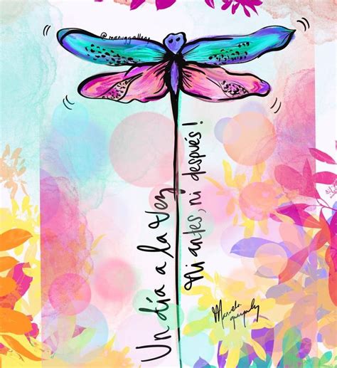 A Dragonfly Sitting On Top Of A Pink Flower Next To A Blue And Yellow