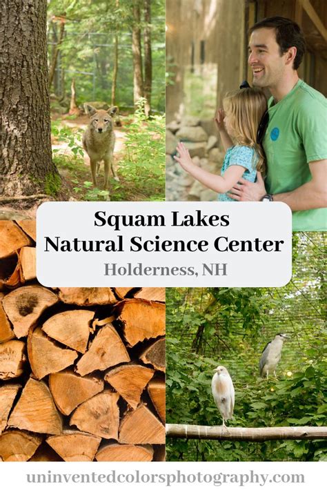 Squam Lakes Natural Science Center — Uninvented Colors Photography