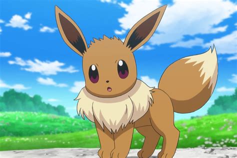 Pokémon Eevee Pokédex Mestre Pokemon