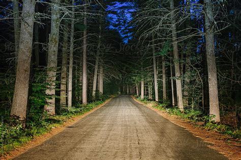 Spooky Creepy Rural Road In Woods At Night By Stocksy Contributor Raymond Forbes Llc Stocksy