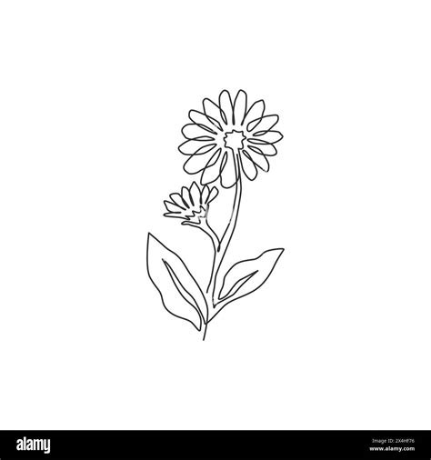 One continuous line drawing of beauty fresh calendula for home decor