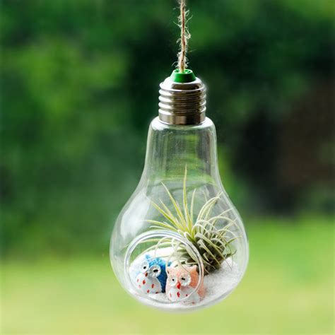 Hanging Lightbulb Air Plant Terrarium With Owls By Dingading Terrariums