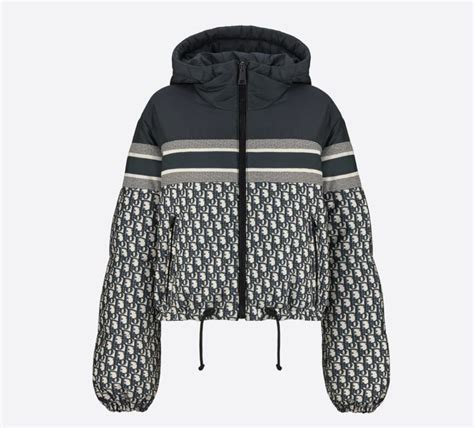 Dior Reversible Down Jacket In 2021 Down Jacket Jackets Fashion