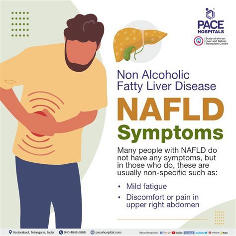 Nafld And Nash Symptoms Causes Differences And Treatment Options
