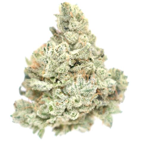 Grease Monkey – The Delivery Co.