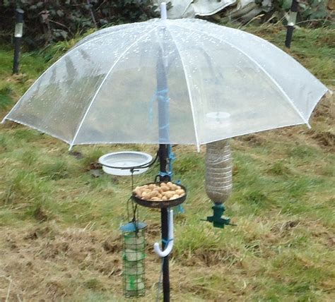 Here are 24 diy bird feeders to choose from. Image detail for -... have become quite jealous of the ...