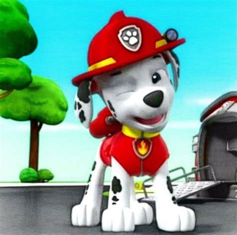 Marshallgallery Paw Patrol Wiki Fandom Paw Patrol Cartoon Images