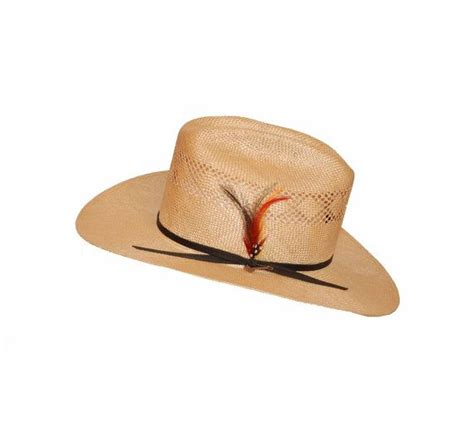 Stetson Straw Cowboy Hat Feather Hatband Black Branding Iron Etsy