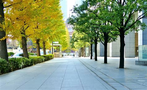 City Sidewalks Take Inspiration From Sidewalks Around The Globe