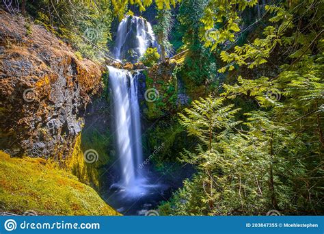 Falls Creek Falls Ford Pinchot National Forest Washington Stock