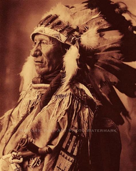 Oglala Sioux Indian Chief Black Bear Photo Native American
