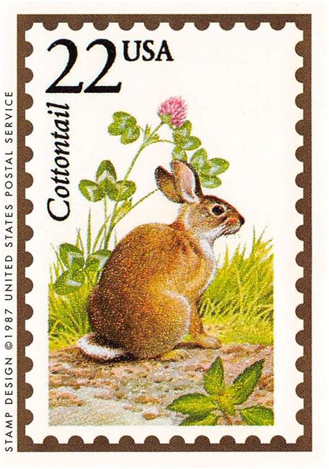 Cottontail Rabbit Trading Card Wildlife America Bunny 1991 Bon Air 43