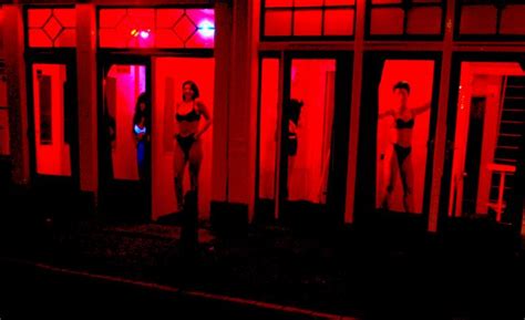 A Amsterdam Les Prostituées Voient Rouge Pas La Maire Tv5monde Informations