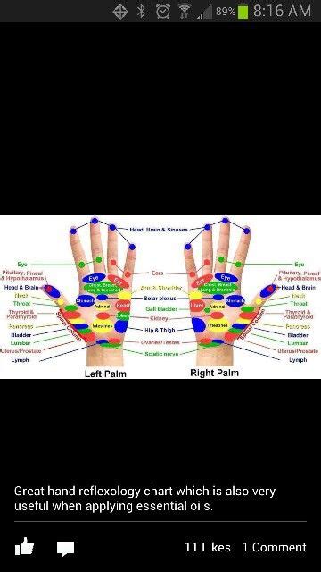 Reflexology Reflexology Hand Chart Body Chart Charts And Graphs