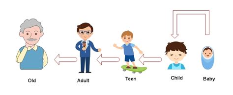 Life Cycle Diagram Examples Tips And How Tos