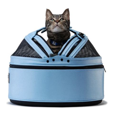 Best Cat Carriers For People To Choose In 2020 Here Pets