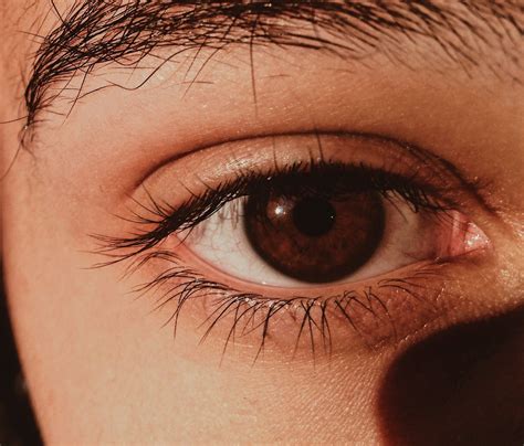 Pin By Hanna Ferreira On Bright Eyes Brown Eyes Aesthetic Aesthetic Eyes Pretty Eyes