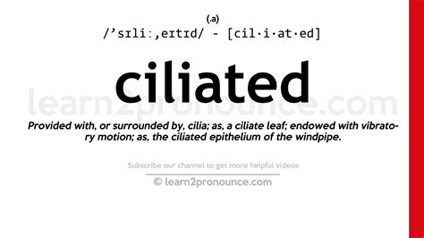 Pronunciation Of Ciliated Definition Of Ciliated Youtube