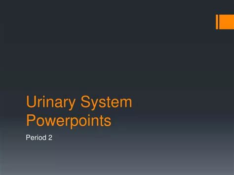 Ppt Urinary System Powerpoints Powerpoint Presentation Free Download