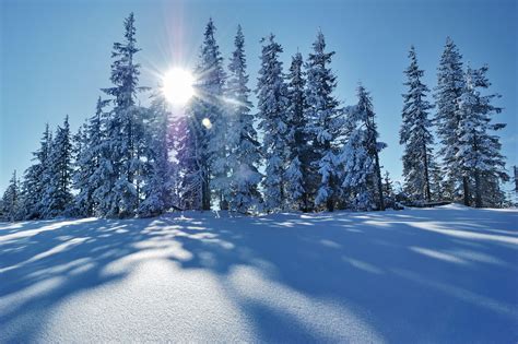 Обои зима снег тень бесплатные картинки на Fonwall
