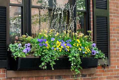 9 Creative Ideas For A Diy Window Box Window Box Flowers Window
