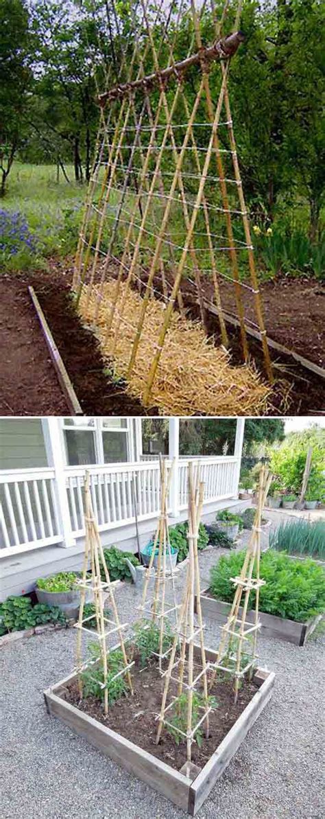 Another plus is that bamboo can last 8 to 10 years before showing signs of. 5 Easy and Awsome DIY Projects Using Bamboo - 101 ...