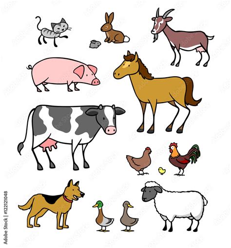 Viele Cartoon Tiere Vom Bauernhof Stock Illustration Adobe Stock