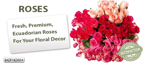 Wholesale prices and freshness guaranteed. Fresh Cut Wholesale Flowers Online for Sale